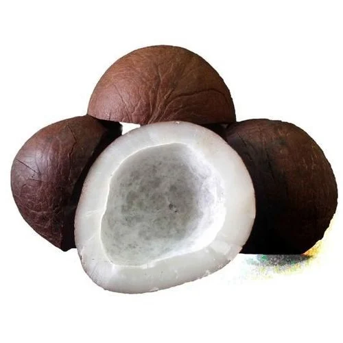 dry-coconut-500x500