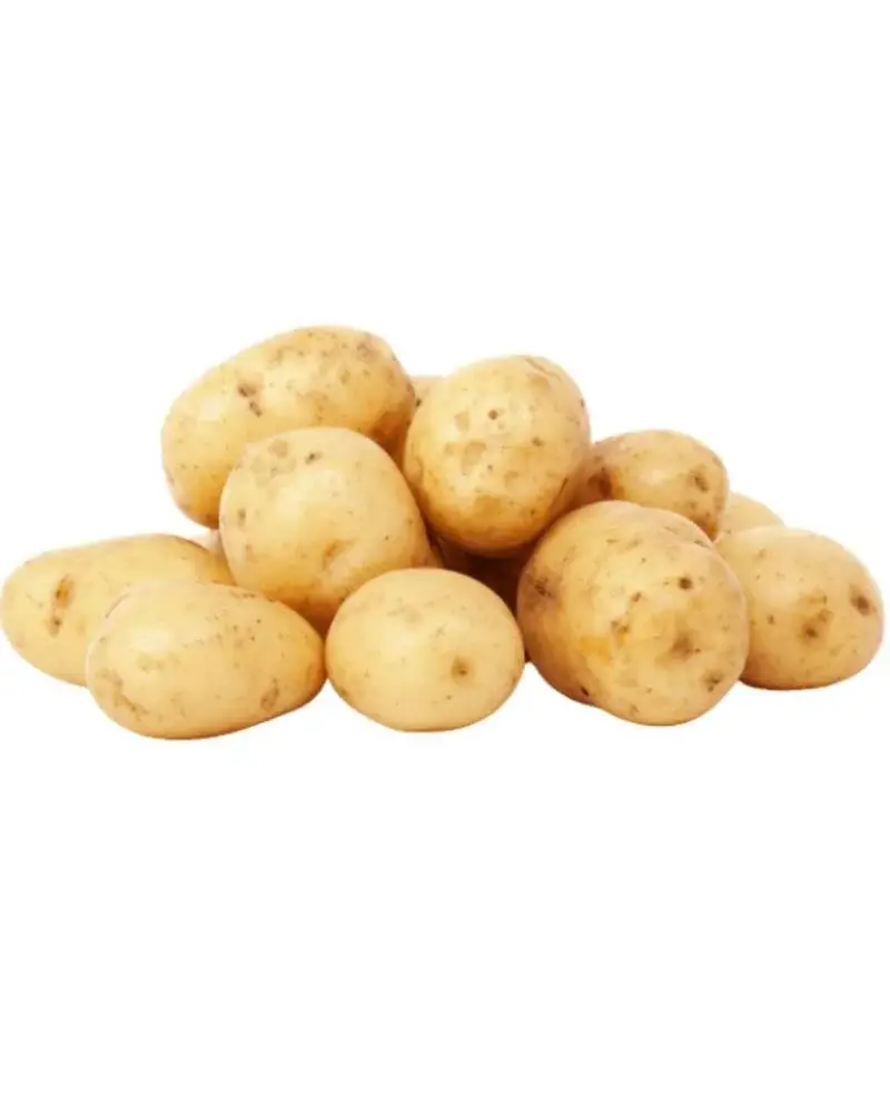 potato 1