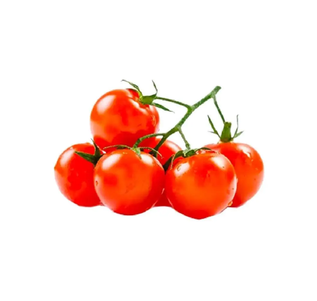 tomato